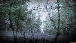 Vanshaj - 19th February 2024